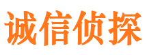 河西市侦探公司